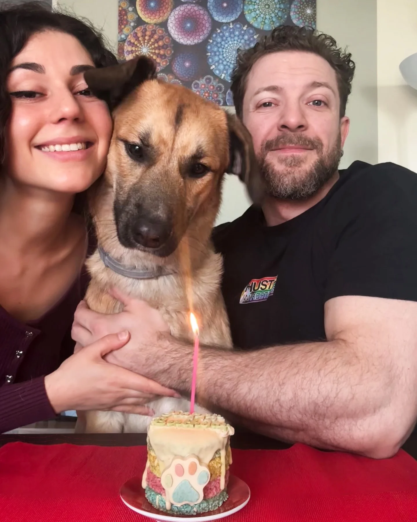 Photo shared by Ambra Pazzani on March 22, 2026 tagging @themerluzz, and @zampaliziosa. May be an image of collie, mastiff, cake and text.